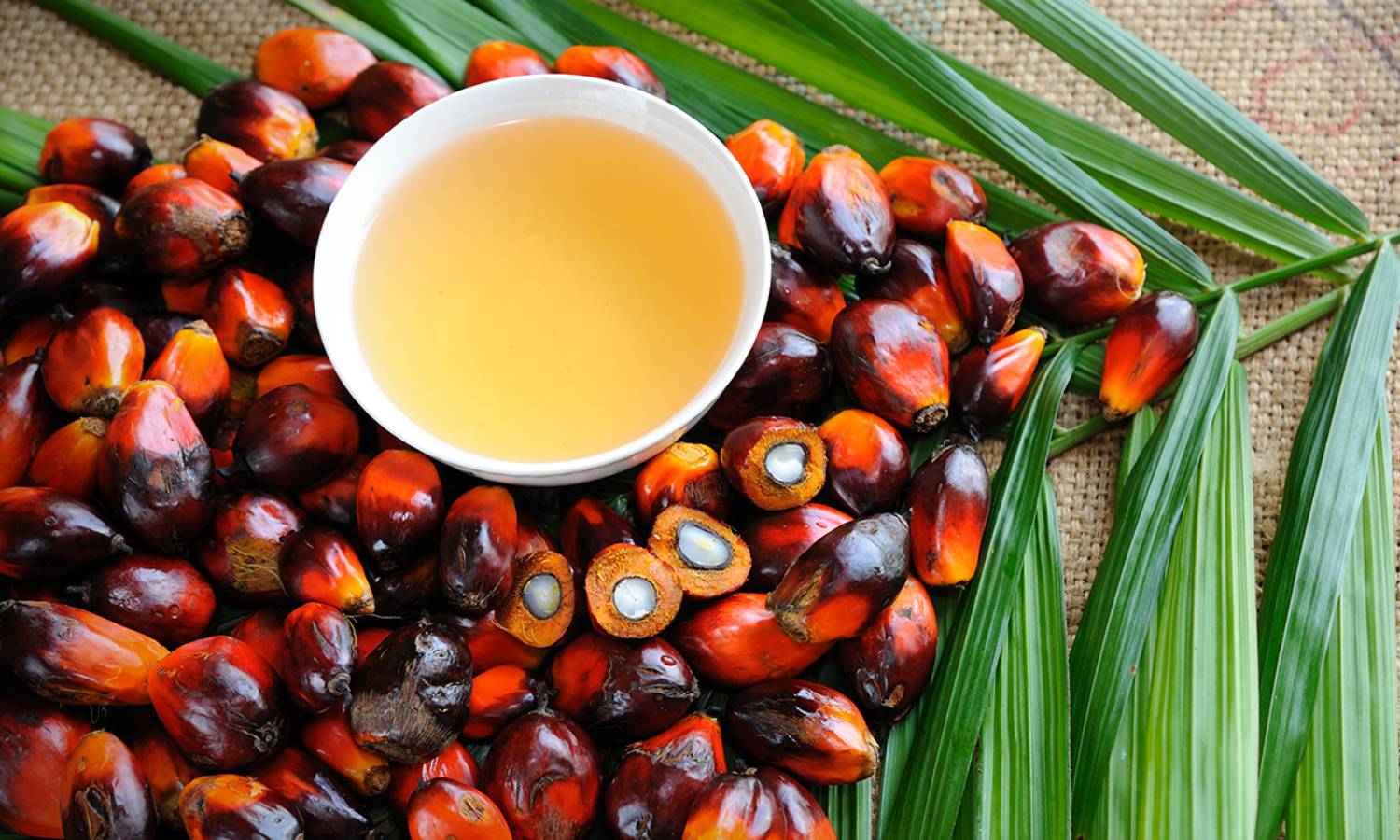 Palm Oil